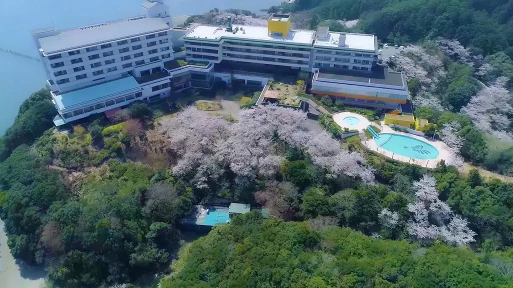 #47 伊勢志摩国立公園上空を舞うマダム・バタフライ
