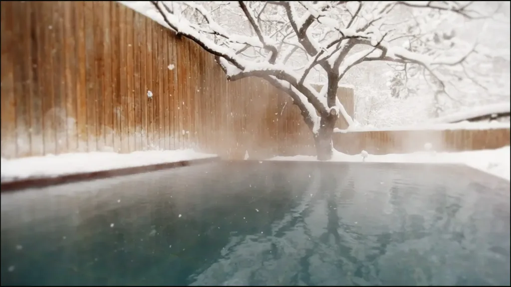#30 雪と温泉・伝統建築の交響曲