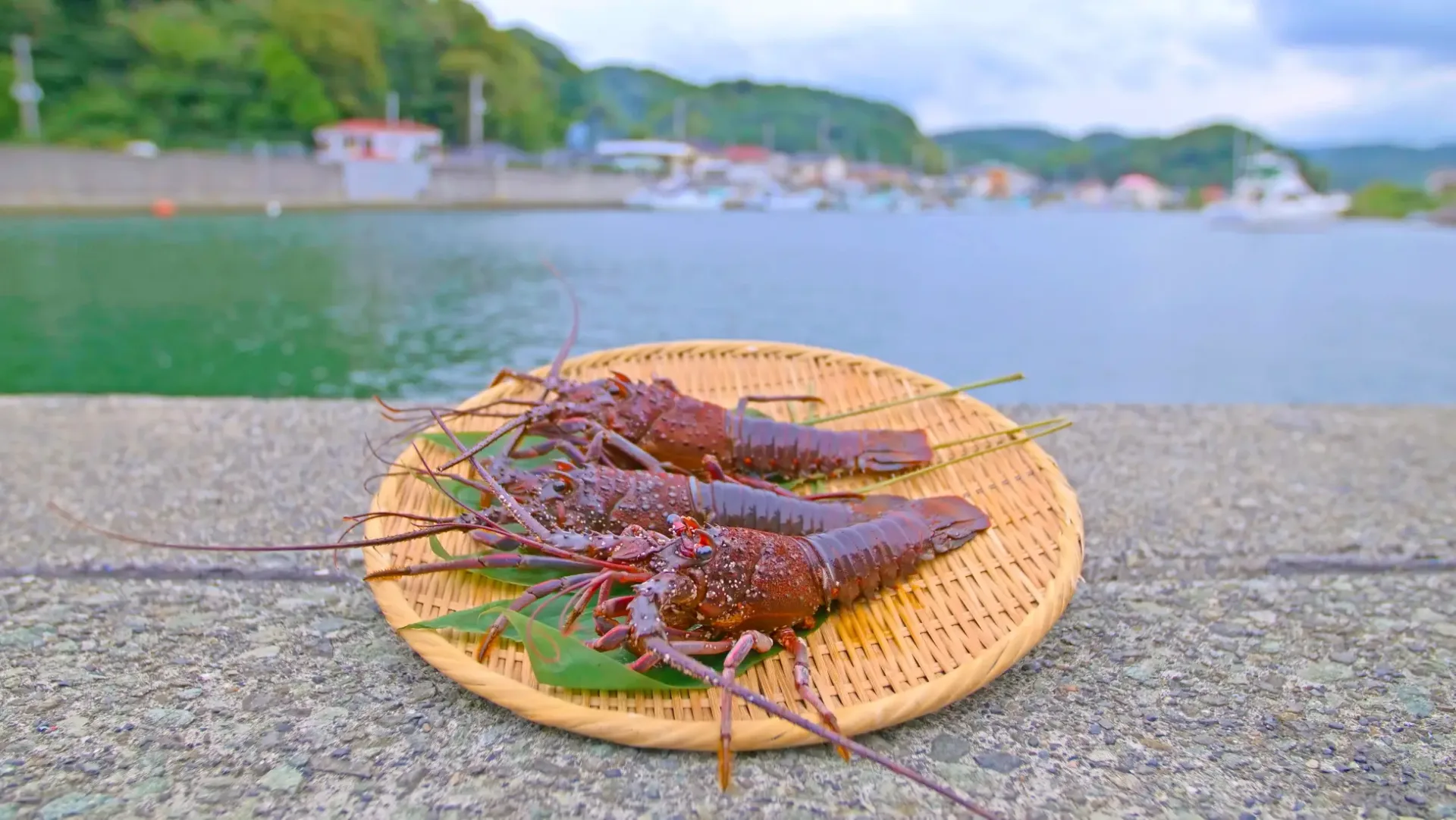 「伊勢海老を食べるだけ」の一人旅